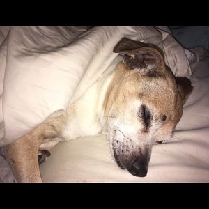 Meet your Posher, Mandy